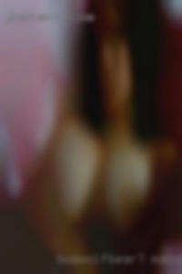 BusWolfBear7 Macon Georgia